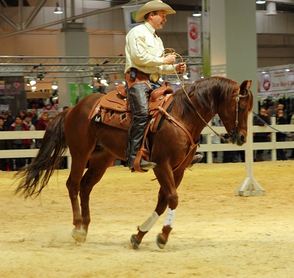 Pferd Und Jagd Hannover 2017