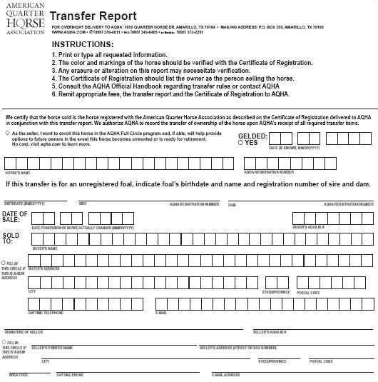 Pferd Besitzerwechsel Eintragen Information Online